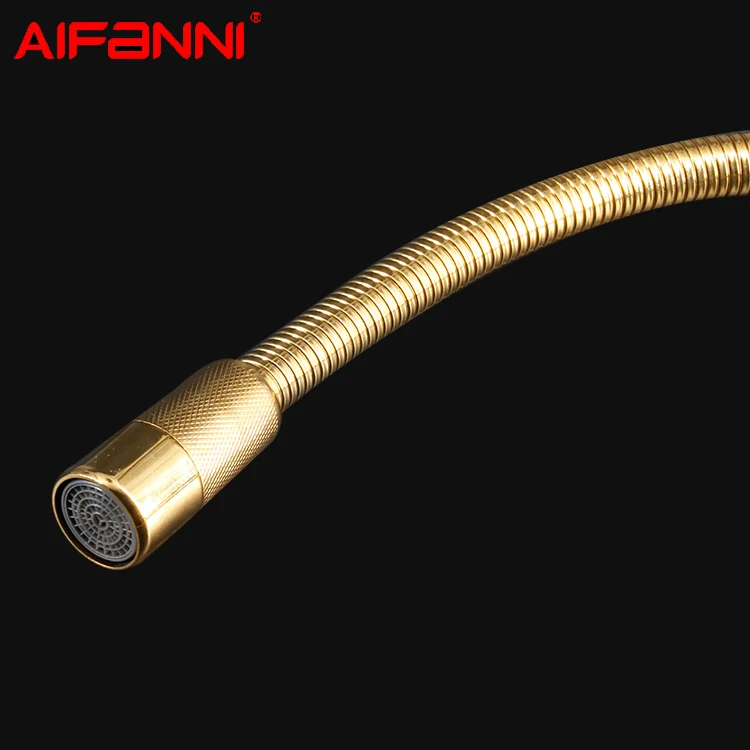 2017 competitive hot product brass double lock shower hose