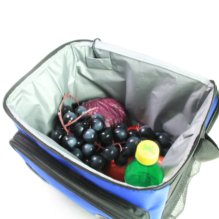 New Large Insulated Cooler Bag With Solar Panels