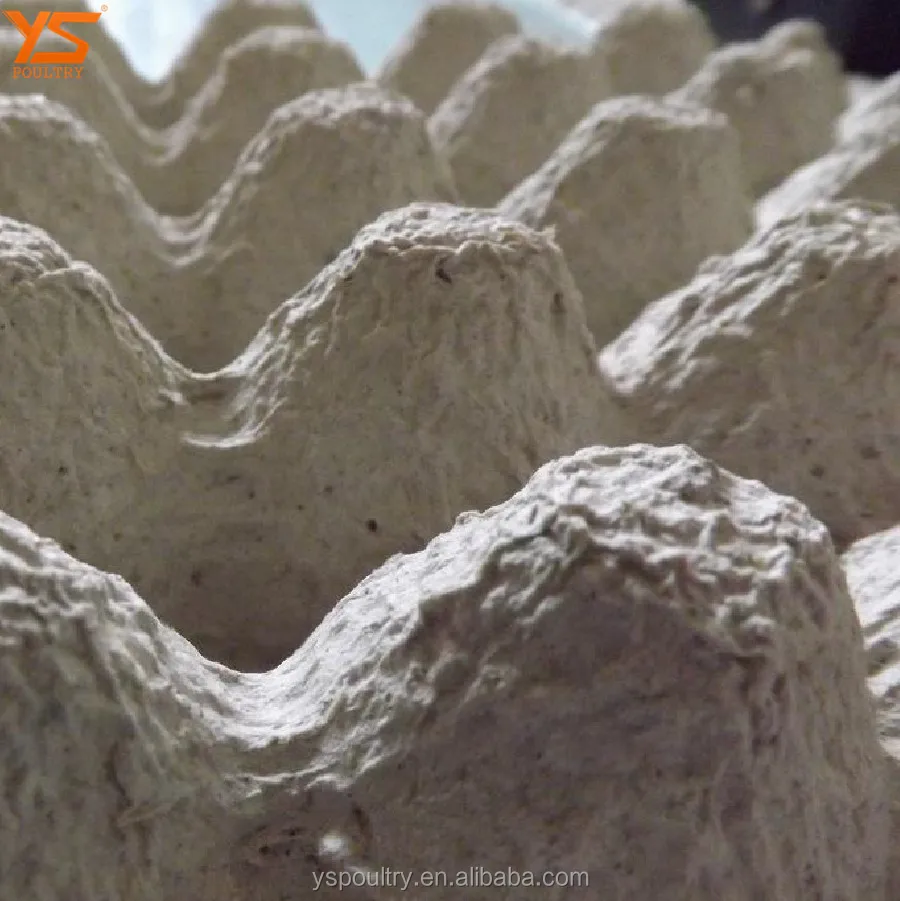 Eco-Friendly Paper Pulp Egg Trays