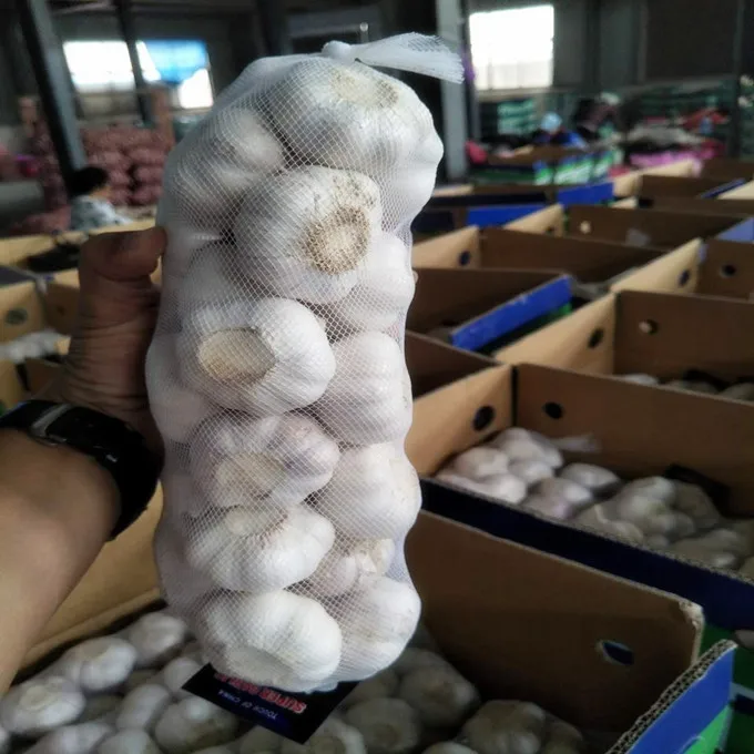 Cold Stored Fresh Garlic hometown of garlic White Garlic