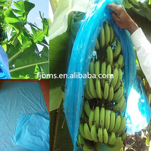 application of banana bags_