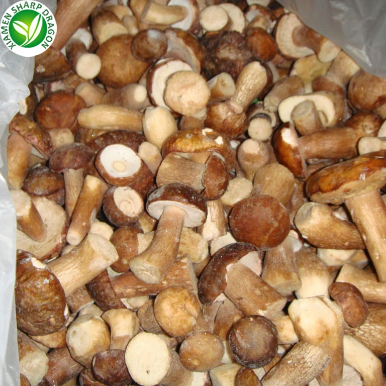  Замороженные Свежие грибы Funghi Porcini