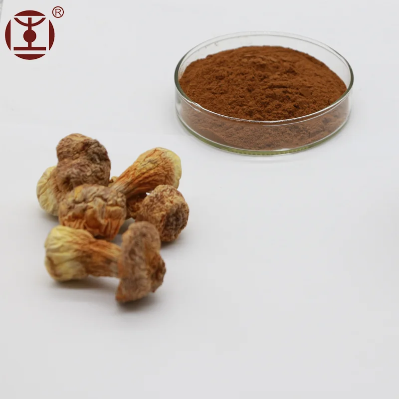 Экстракт бразильских грибов (полисахарид) ;ABM гриб/Agaricus blazei, прошел HACCP/GMP/ISO9001/QS