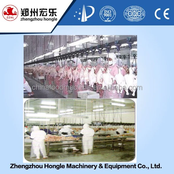200 chicken per hour chicken slaughter machine price chicken processing equipment