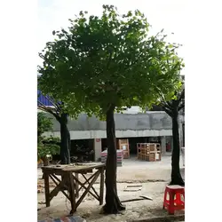 Fiberglass Green Artificial Ginkgo Tree For Indoor Outdoor Decorative