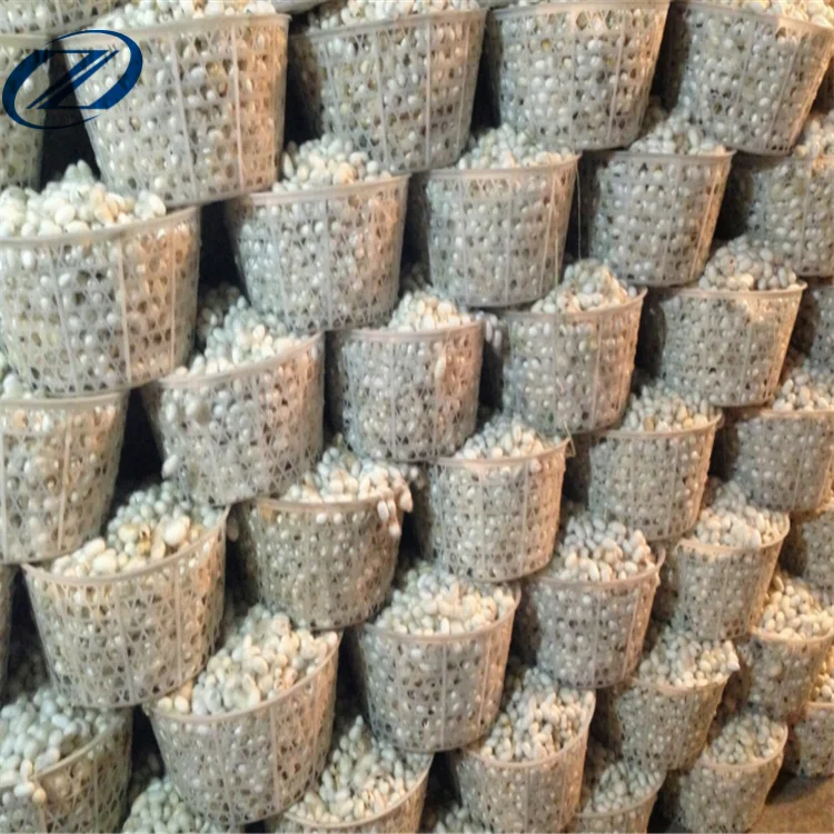 Mulberry spun silk yarn, natural silk yarn manufacturer