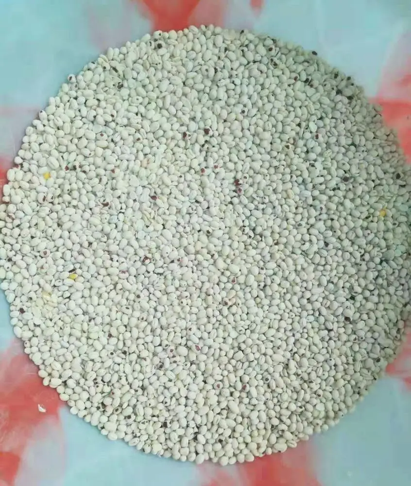 Dry process Adzuki beans peeling machine 500kg/h azuki skin remover aduki beans dehuller red bean shelling machine price