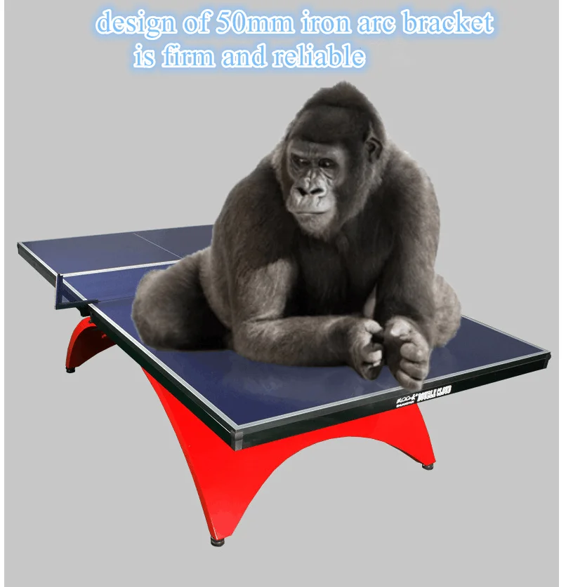 Indoor customizable rainbow leg table tennis table