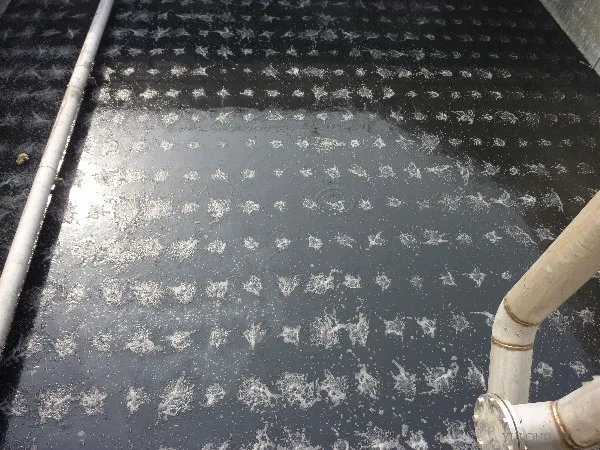 disc diffuser for aeration tank fish farm