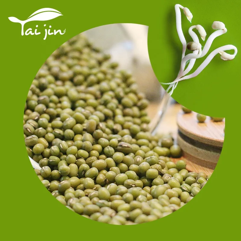 
100% Natural Organic Polished Green Mung Bean For Sprouts 