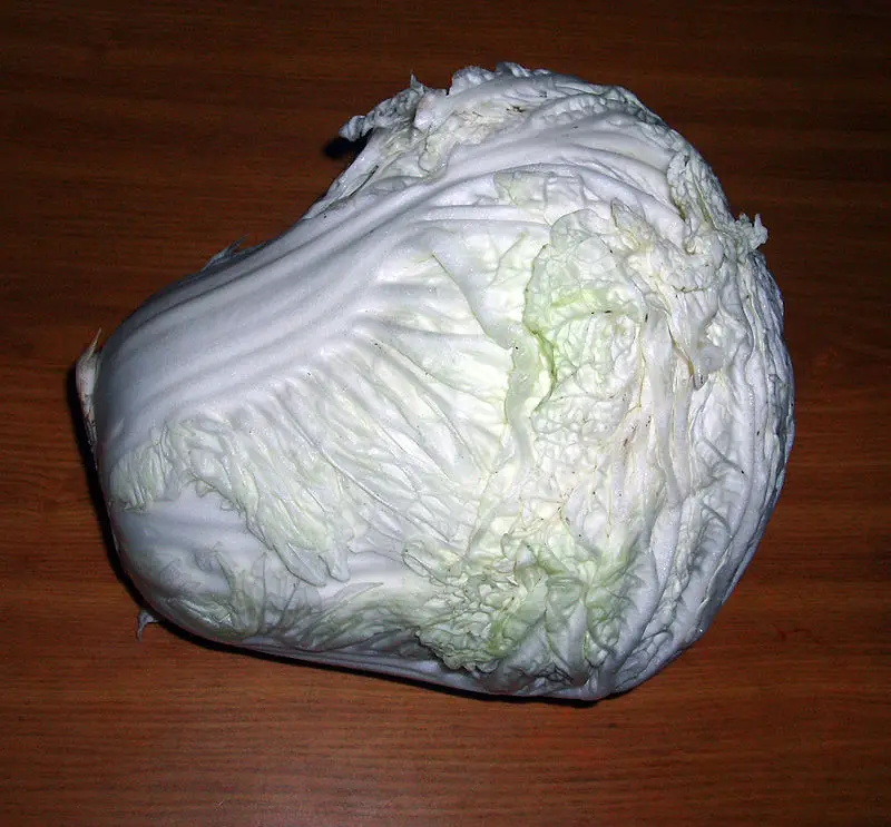 Quality vegetable seeds for sale best price chinese cabbage seed