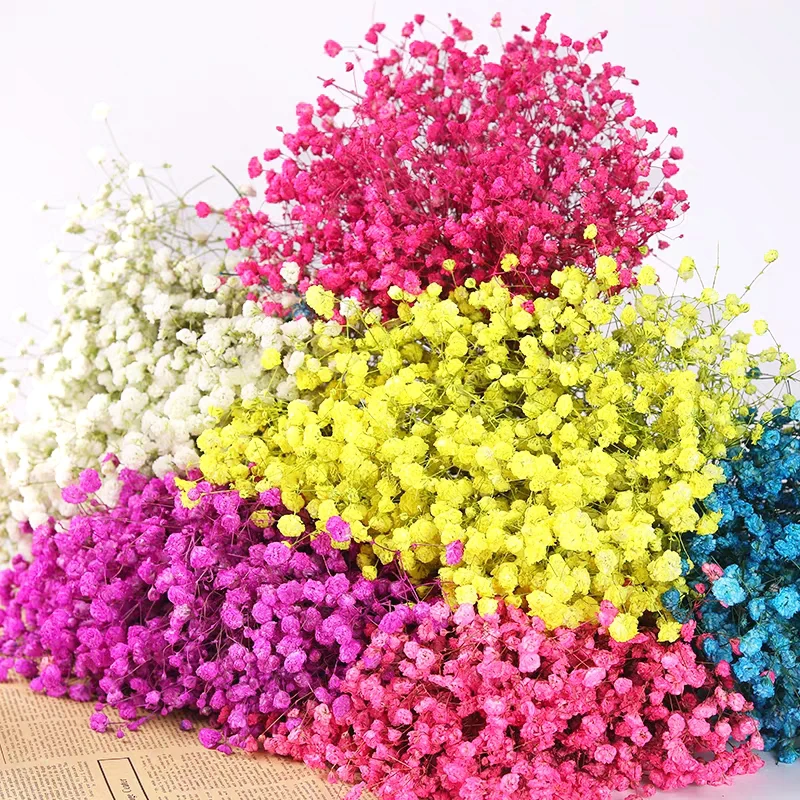 200g/pack Wedding home hotel decoration potpourri dried flowers dry mini gypsophila babysbreath flowers dried gypsophila
