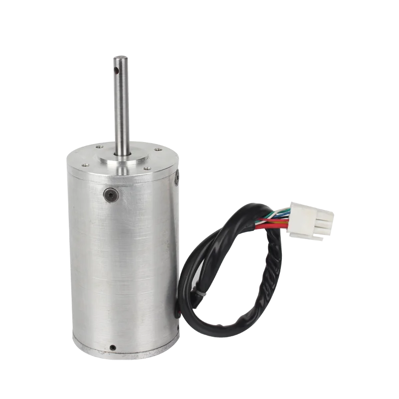 12v / 24v electrical dc motor bldc brushless motor with customized power