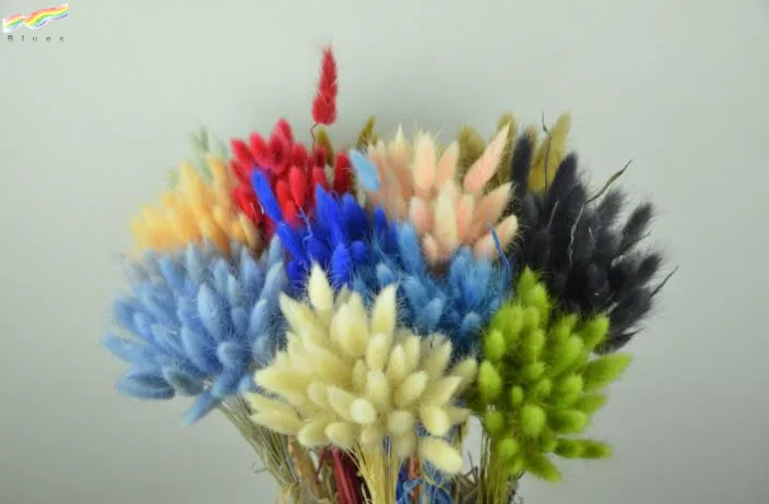 Dried flower bouquet colorful lagurus ovatus rabbit tail grass flower set of 50pcs flower