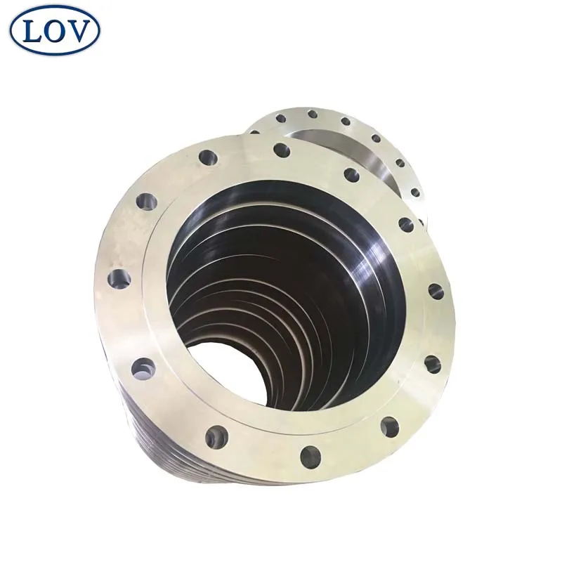 DIN 2577 Forged Stainless Steel Pipe Plate Flat Flange