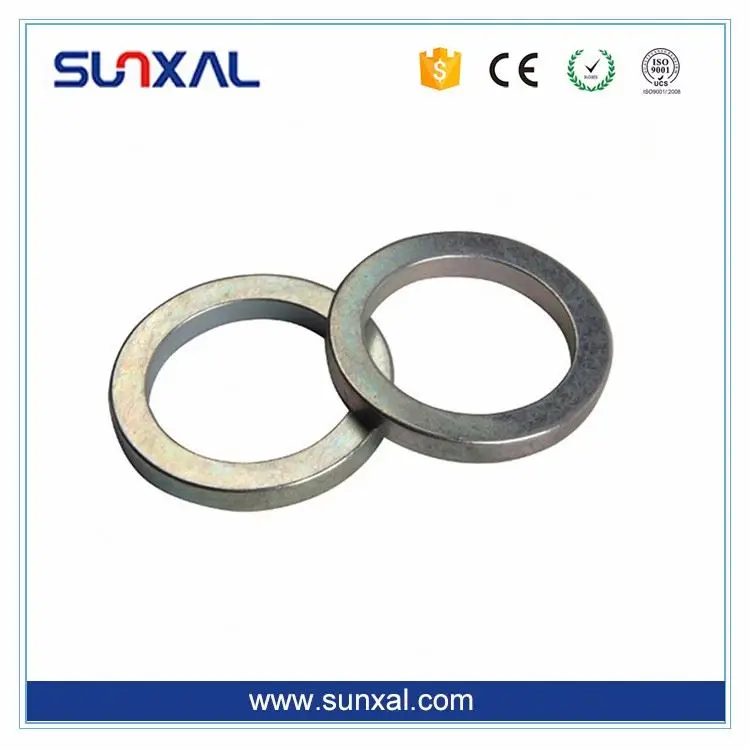 
Chinese Supplier Cheap Price neodymium magnets for water meter 