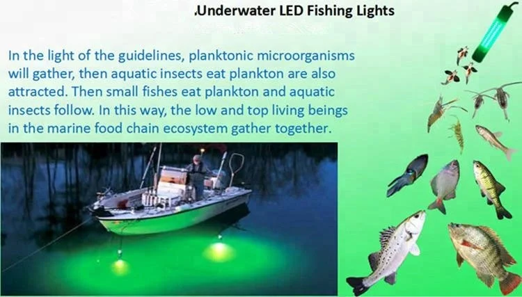 Deep Sea Waterproof Lamp 1000W Fishing Lure Light