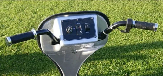 Single seat 24V 800W electric golf buggy for sale