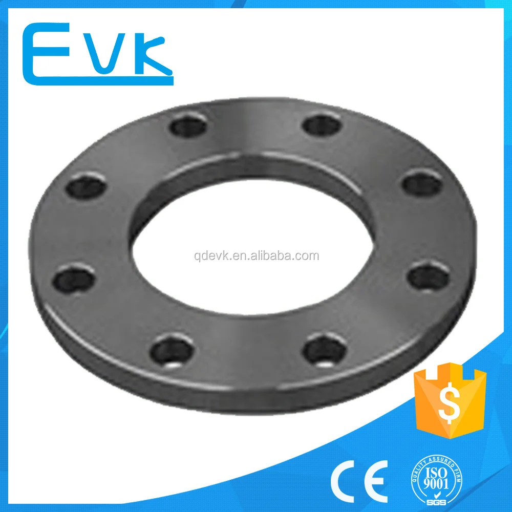  Кованый dn250 cl150 wn rf 304 sch40s поднятый лицевой плоский фланец