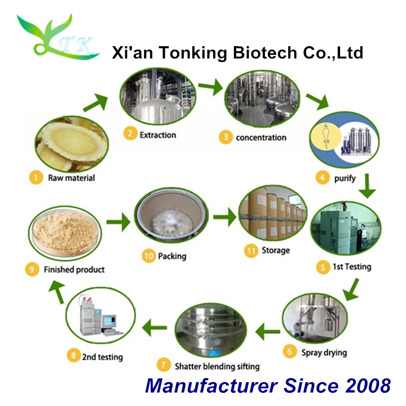 
Top Ecdysterone/Ecdysone/Molting Hormone 