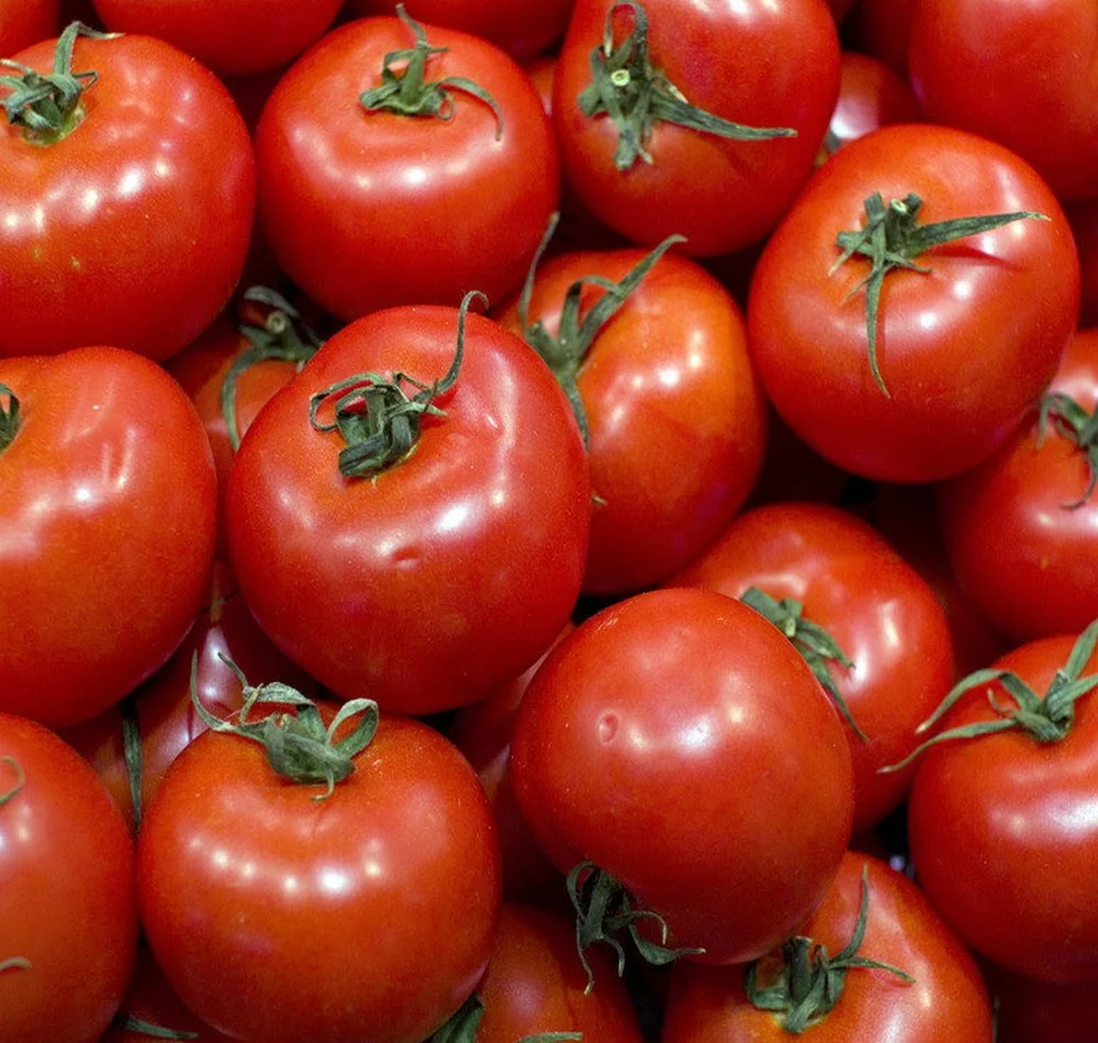  Fresh Tomato Export from