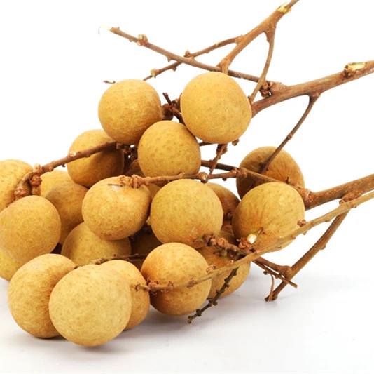 Cheap canned longan from china