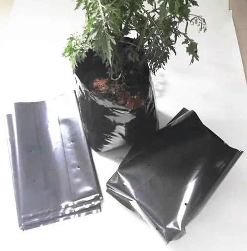 Polyethylene black grow bags plastic seeding nursery bags