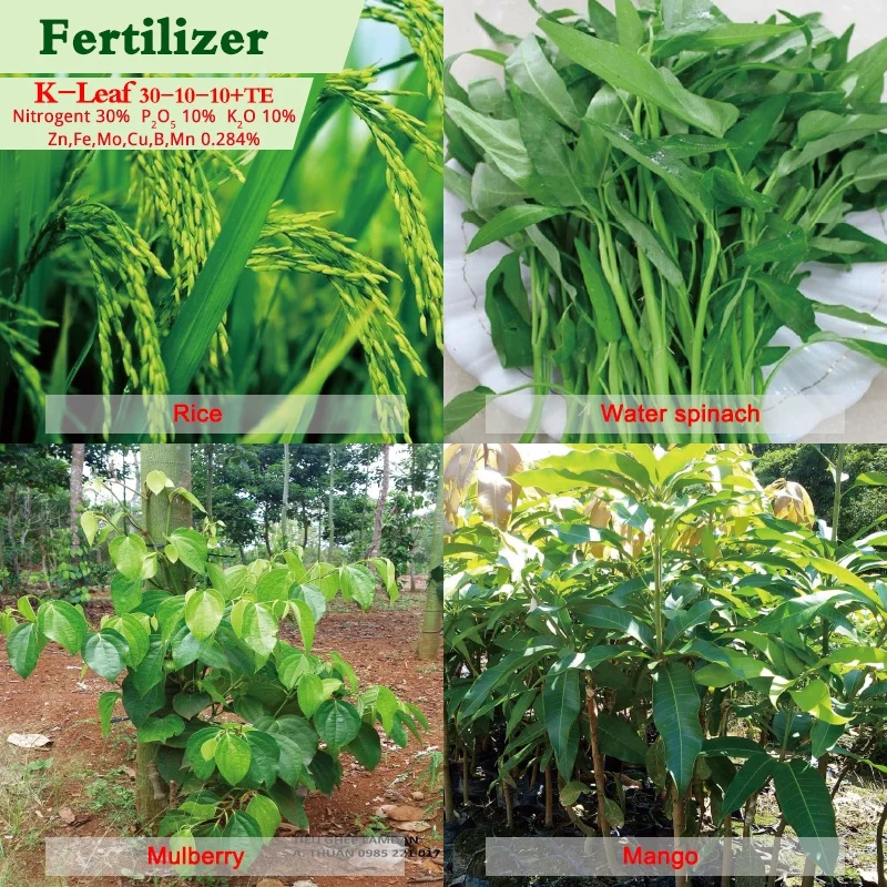 NPK Water Soluble Compound Fertilizer KOMPUL SLUEK LEAOR K-Leaf 30-10-10 +TE
