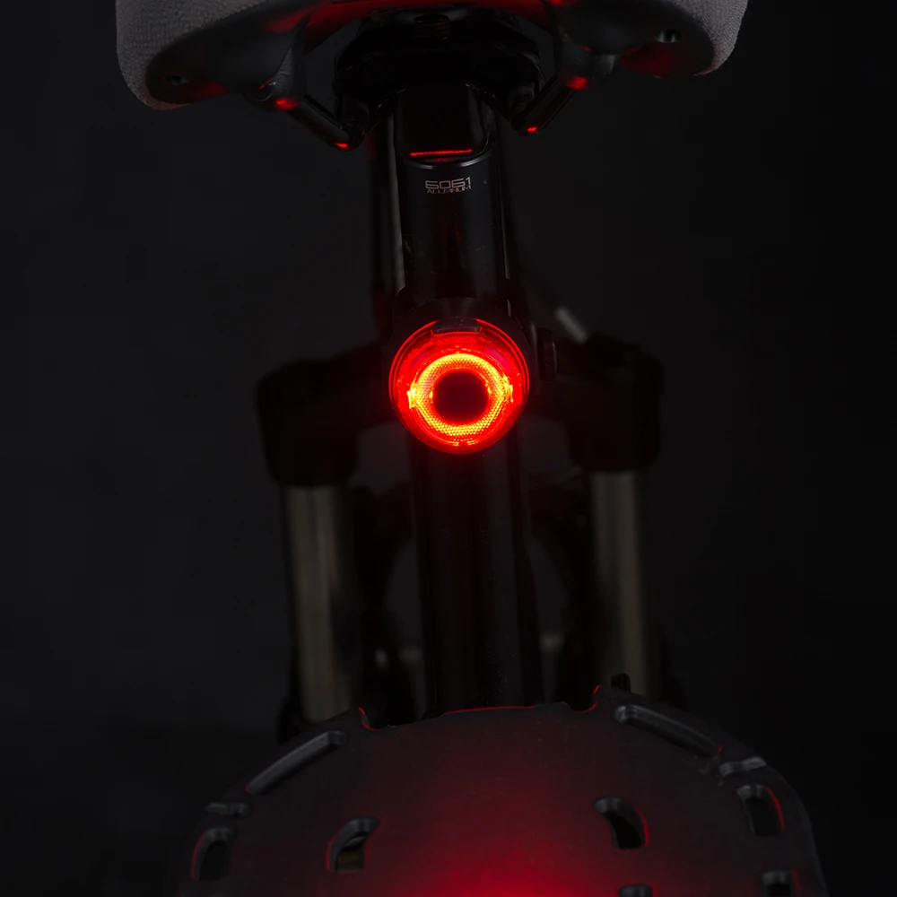 Factory direct Sate-lite USB rechargeable bike light StVZO eletric bike rear  light CREE LED waterproof