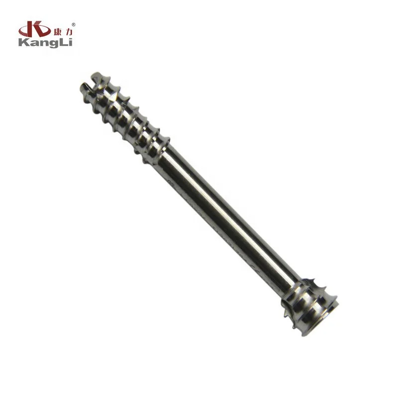Titanium Medical Herbert Screw