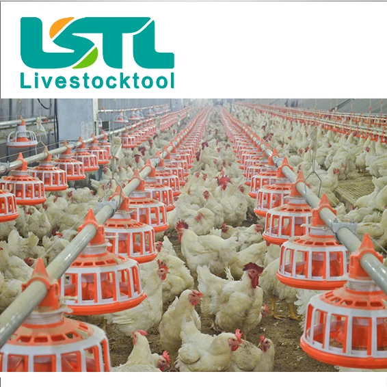 Poultry Floor Management Auto Auger Feeder Pan Broiler Feeding System Chicken Feeding Water Drinking System Pan Feeding System