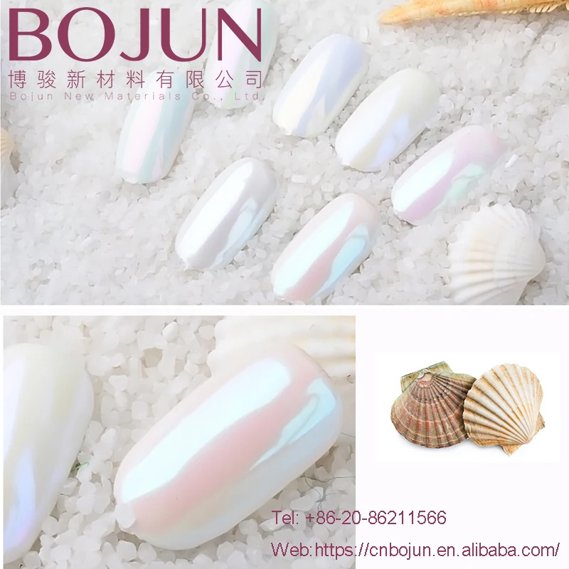 Mirror Powder  shell pigments mirror effect accessories designs nail decorate color neon pigment pearl powder for nail art