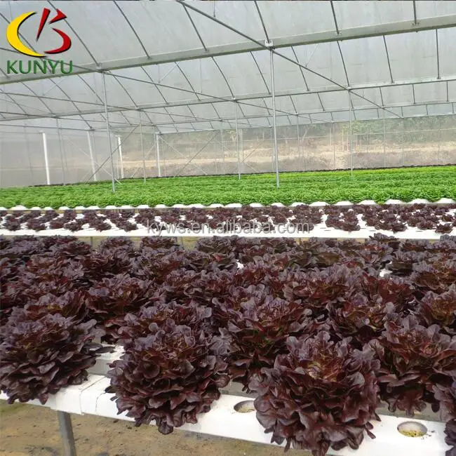 agricultural greenhouse flat hydroponics Used in Hydroponic Vertical Farm System PVC Square Tube