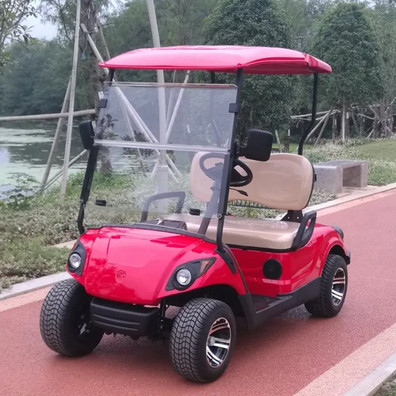 2 seat electric rechargeable mini golf cart for golf club