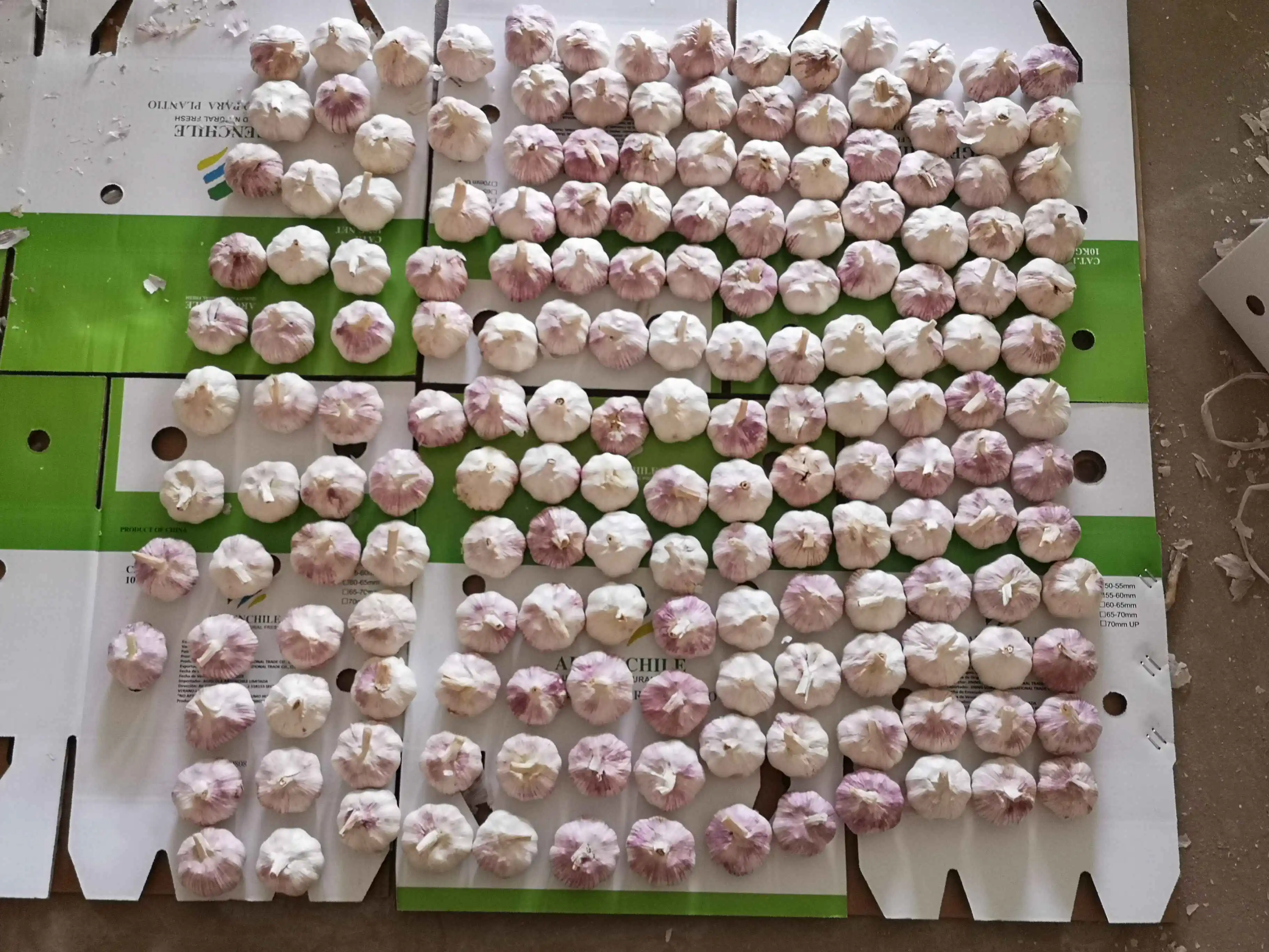 
2021 New Crop Jining Fresh new crop red garlic 