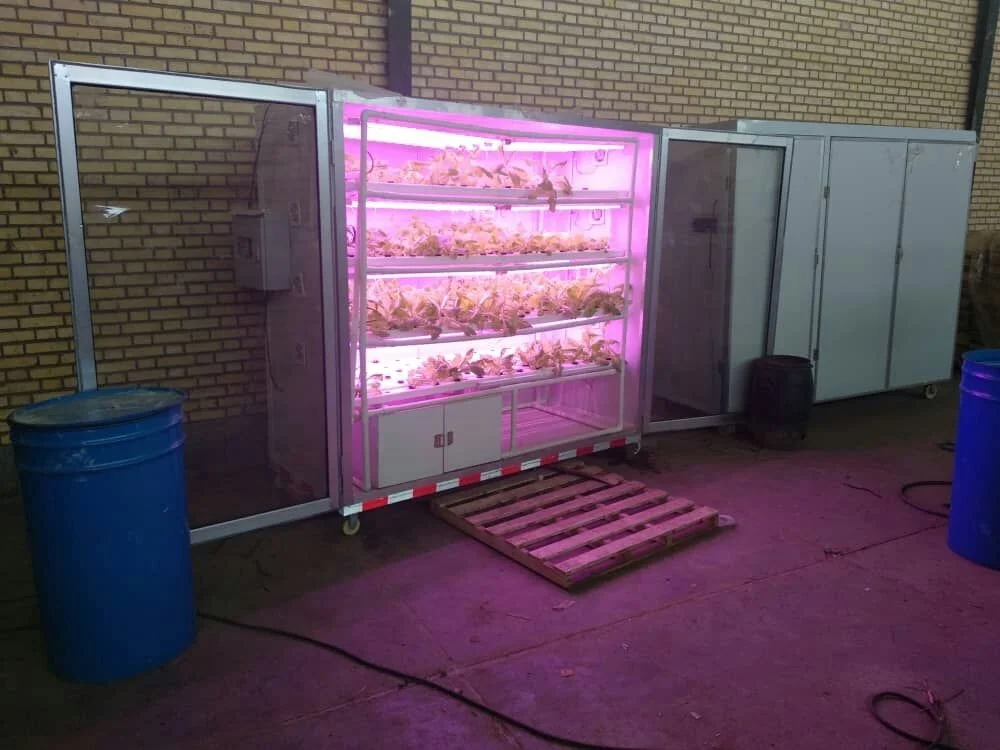 Greenhouse  container  for Hydroponics vegetable System / Hydroponic sprouting Machine