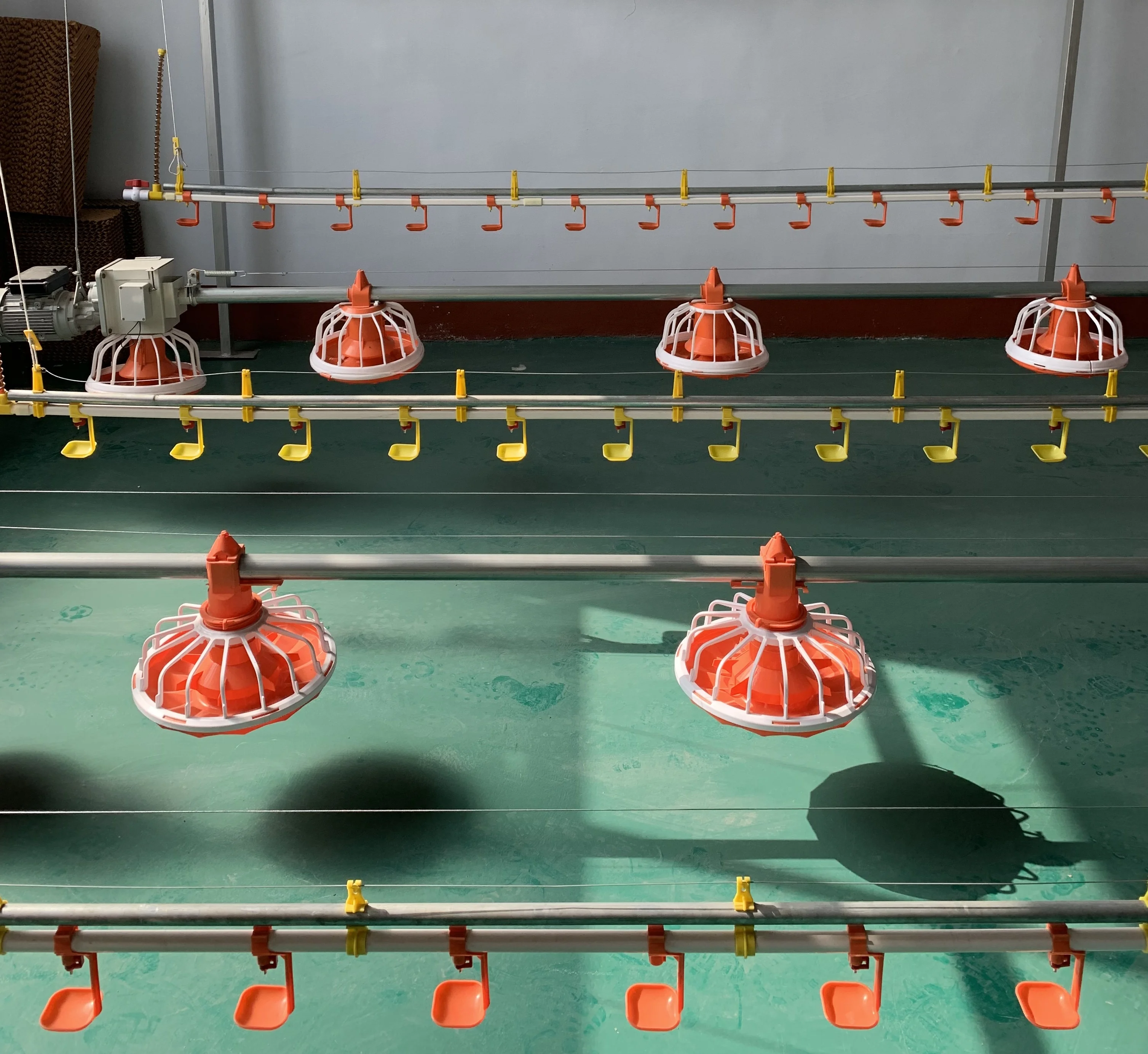 2019 poultry processing slaughtering equipment