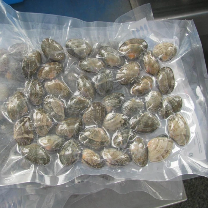 
Frozen cooked baby clam in shell 