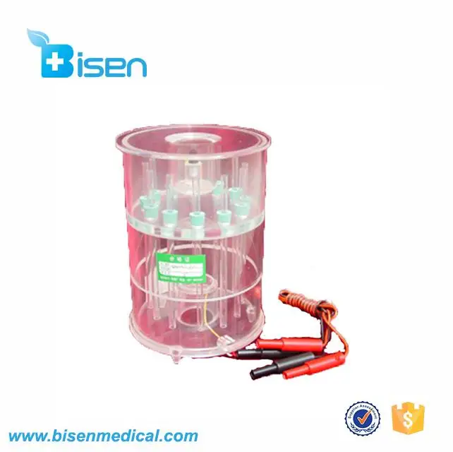 Dna Or Pcr Hemoglobin Electrophoresis Vertical Gel Electrophoresis For Western Blotting