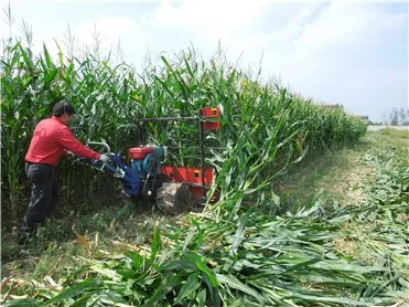 mini corn harvester maizer sesame sorghum harvesting machine