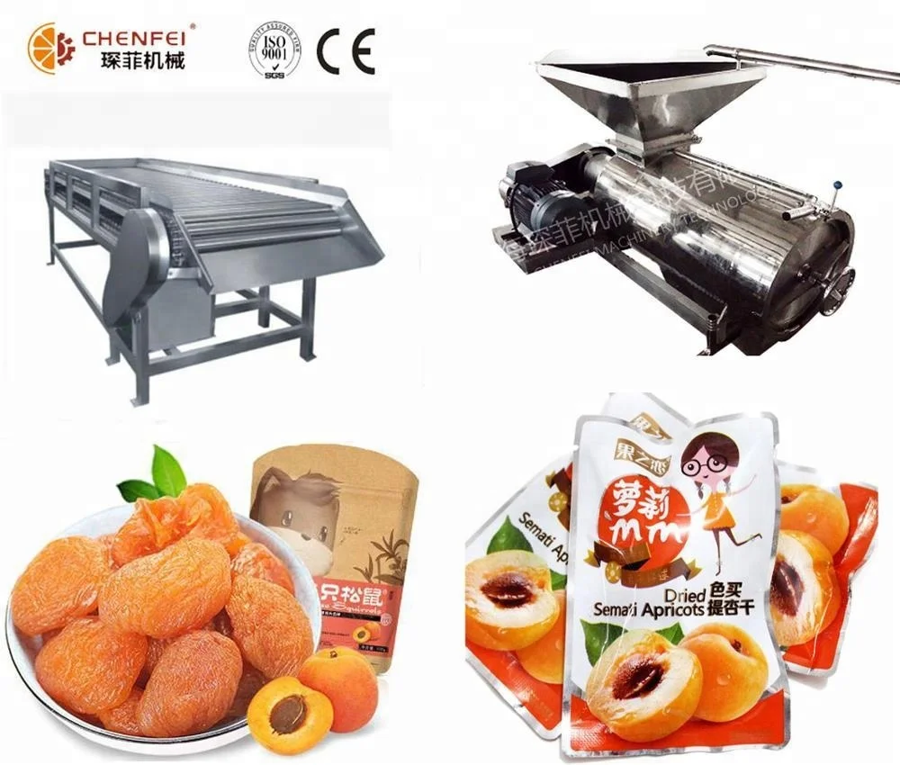 turnkey freezedrying dried fruit and vegetable slices production line project