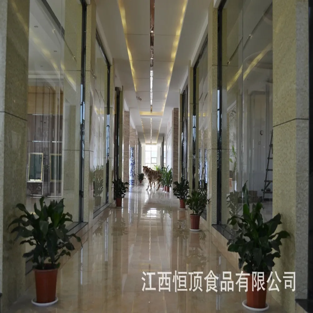 
BRC certificated Plant Extracts Free Gluten Organic Rice Protein Powder 