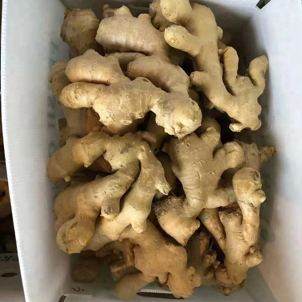 Органический сушеный имбирь, китайский завод 2018