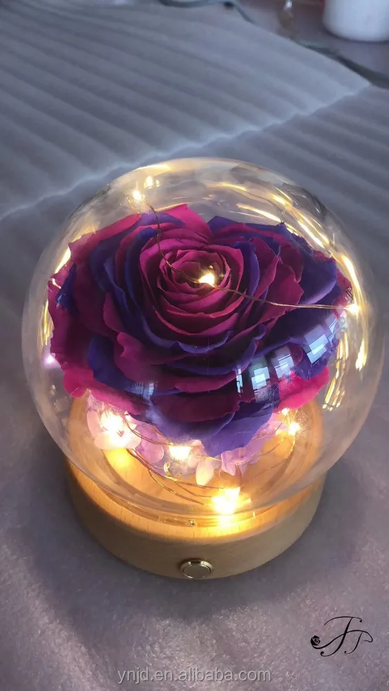 
Unique LED Gifts JJ Preserved Roses in Glass Dome 
