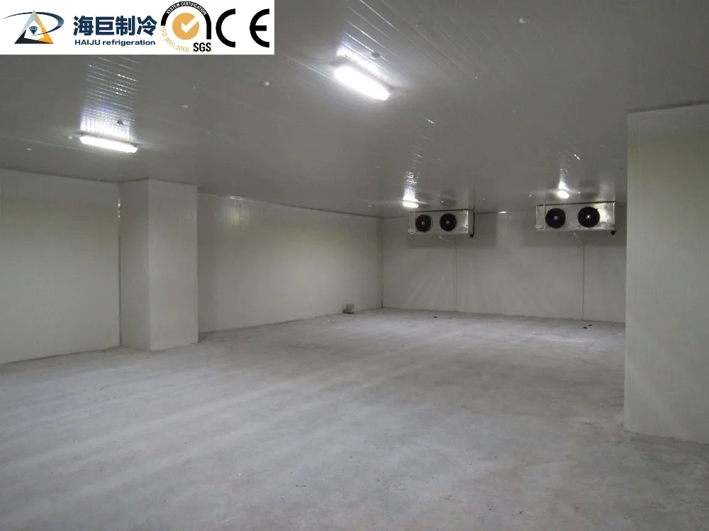 Cold room panel evapoavtor refrigerated container deep freezer ice cream