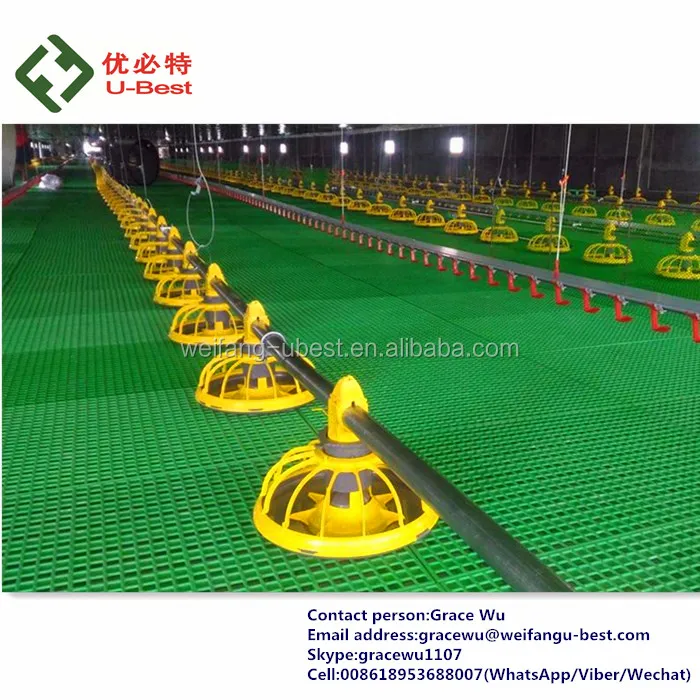 Design Modern High Quality Chicken Feeding Equipment/poultry Hopper Feeder/poultry Farm for Sale in Ghana