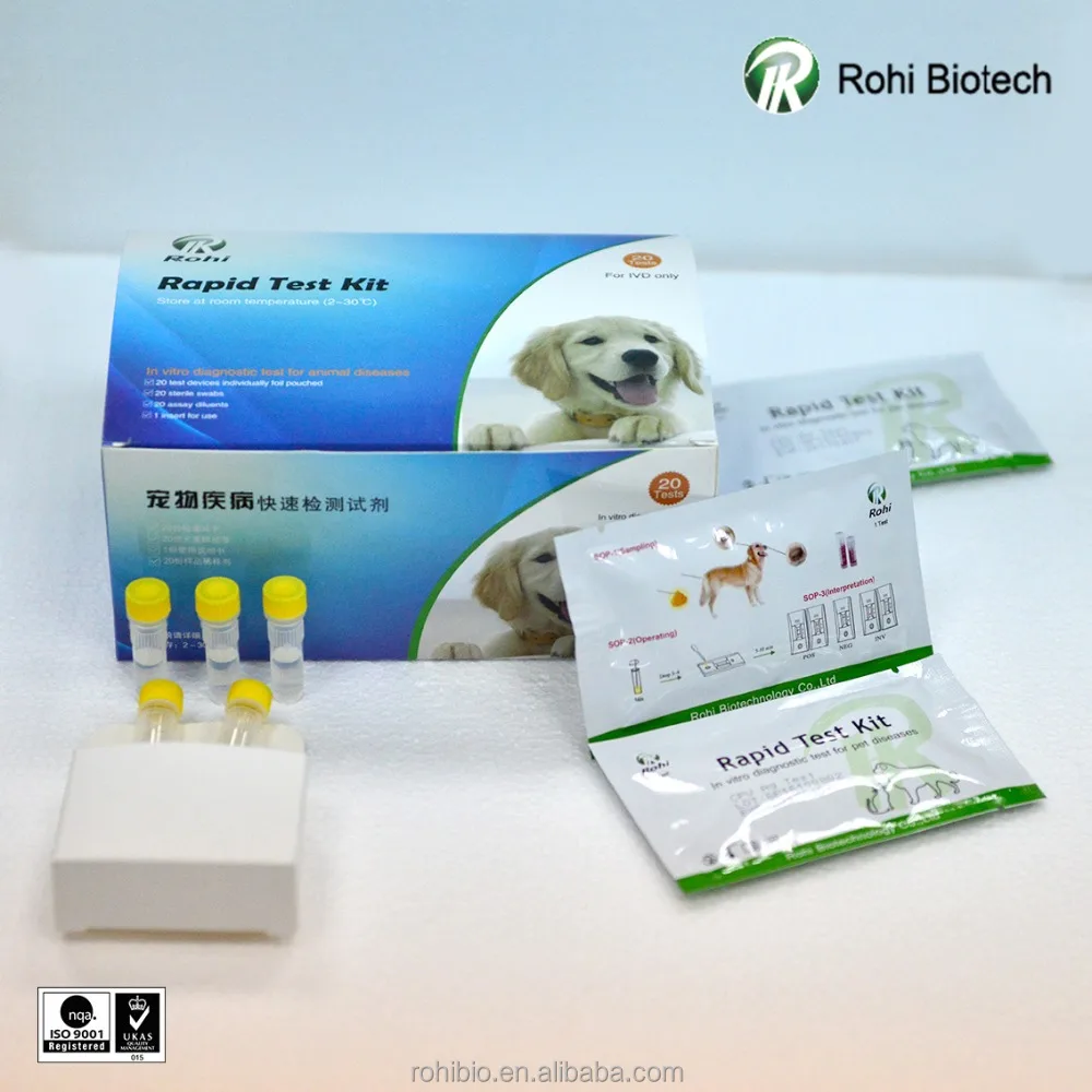 
Canine Parvo Virus Ag Rapid Test kit /high quality veterinary CPV Ag vet lab kit 