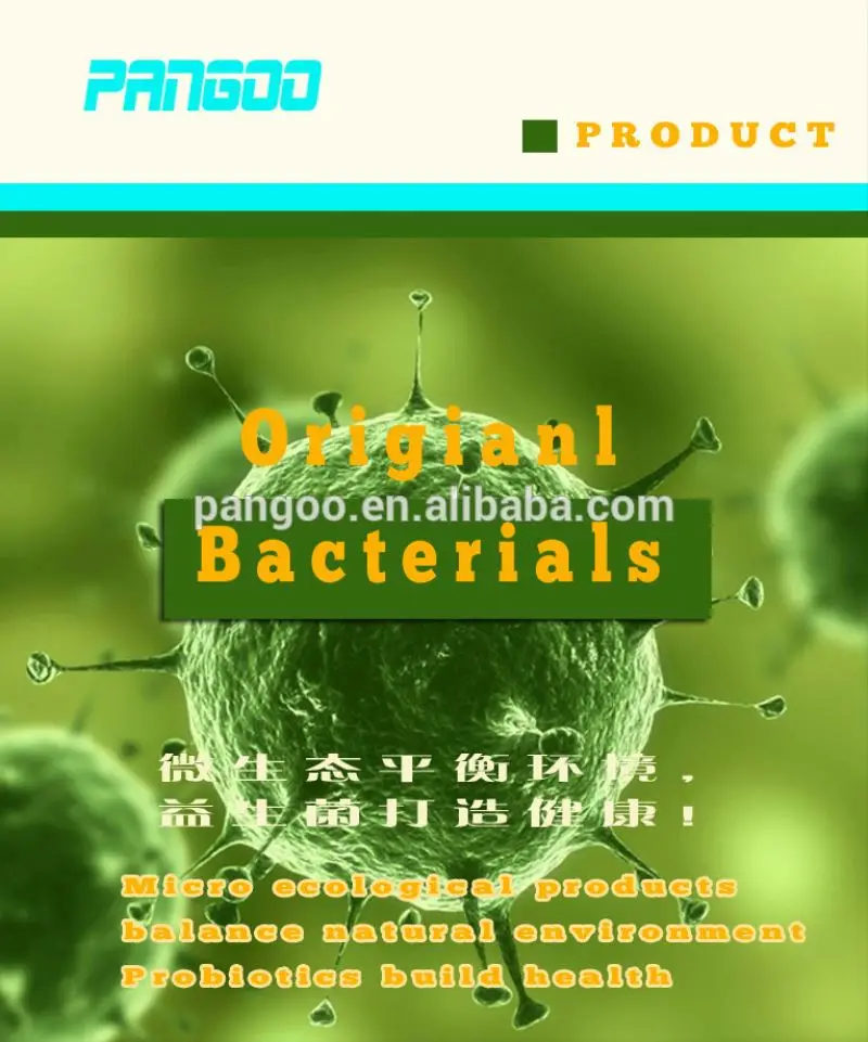 Silicate Bacteria Fertilizer Additives 10 bilion cfu/g for tomatoes, beans PANGOO PLANT GROWER
