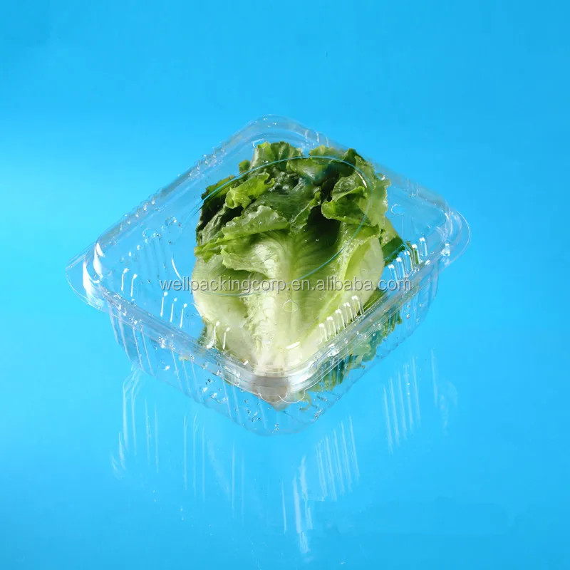Disposable Plastic vegetable packaging box for mushroom  potato