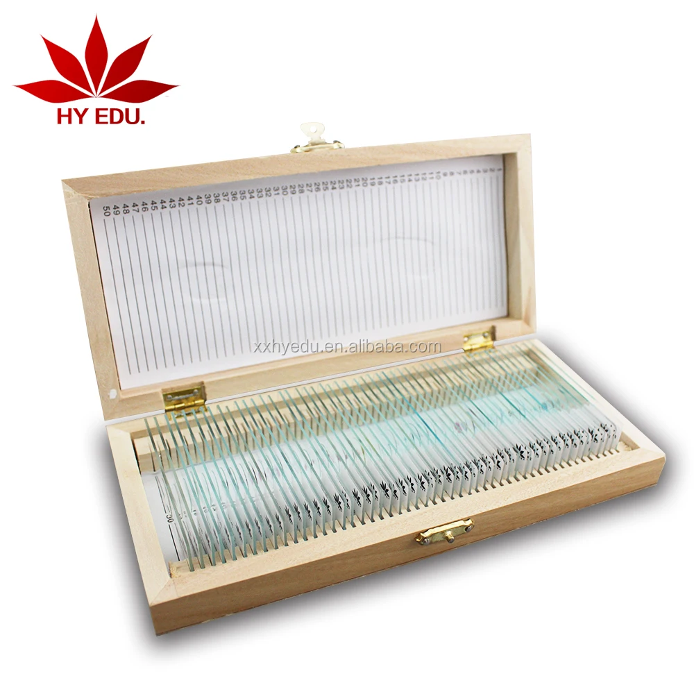 Most popular 100pieces Slide Storage wooden pathology microscope slides box